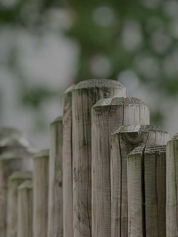 Holzpfähle stellen einen Zaun dar